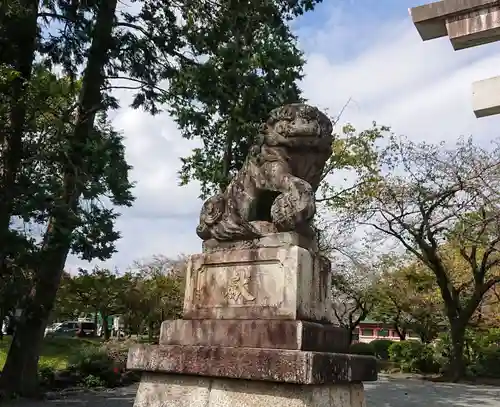 富士山本宮浅間大社の狛犬