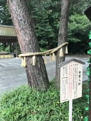 櫻木神社の自然