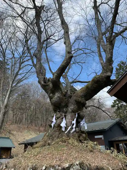 熊野皇大神社(長野県)