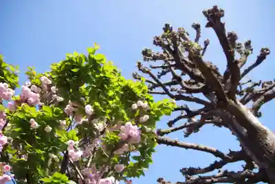 福王山  慈眼寺(東京都)