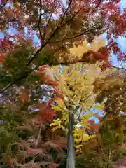 鷺森神社の自然