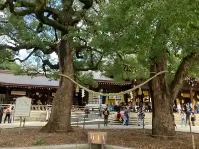 明治神宮(東京都)