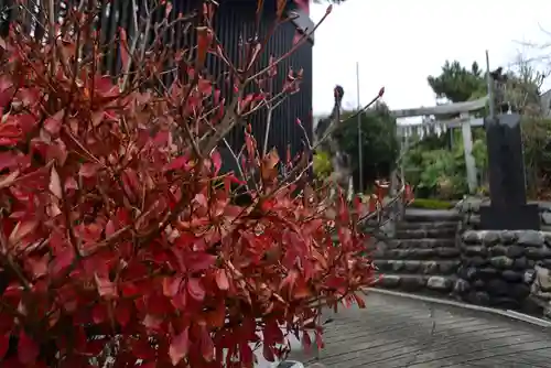 横浜御嶽神社(神奈川県)