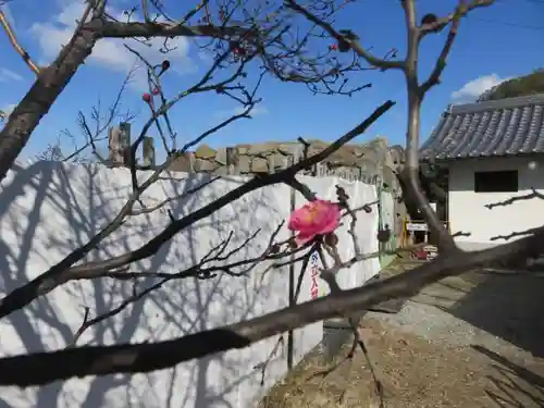 柳澤神社の庭園