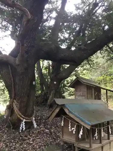 天志良波神社の末社