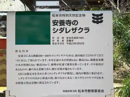 安養寺の{uncategorized: "未分類", other: "その他", undefined: "問題あり", building: "その他建物", grave: "お墓", sacred_gate: "鳥居", guardian: "狛犬", statue: "像", buddha: "仏像", history: "歴史", nature: "自然", garden: "庭園", animal: "動物", pagoda: "塔", temizu: "手水舎", mountain_gate: "山門・神門", sanctuary: "本殿・本堂", subordinate: "末社・摂社", art: "芸術", scenery: "景色", jizo: "地蔵", ema: "絵馬", goshuin: "御朱印", omikuji: "おみくじ", items: "授与品その他", amulet: "お守り", goshuincho: "御朱印帳", eats: "食事", festival: "お祭り", votive_dance: "神楽", shichigosan: "七五三参", wedding: "結婚式", experience: "体験その他", initially: "初詣", around: "周辺", anti_infection: "感染症対策"}