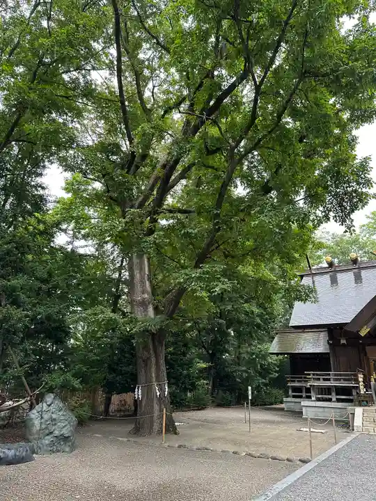 旭川神社の自然