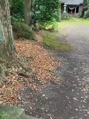 子安神社(茨城県)