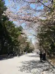 北海道神宮の自然