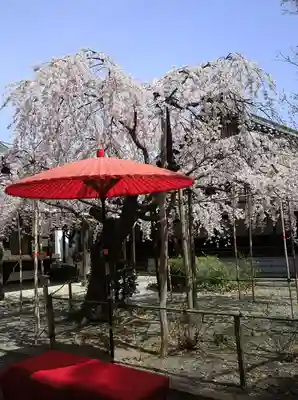 水無瀬神宮(大阪府)