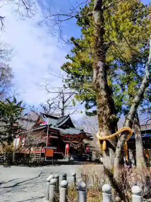 山中諏訪神社(山梨県)