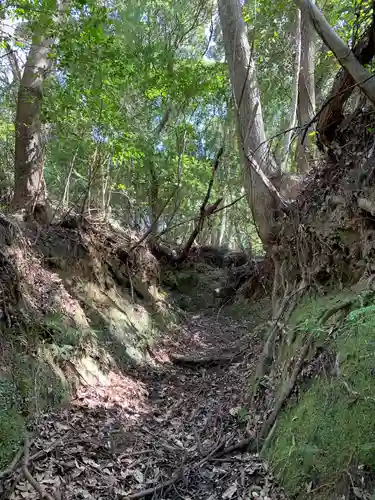 浅間神社の自然