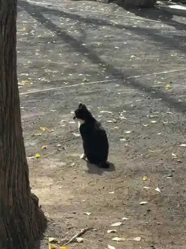 奥氷川神社(東京都)
