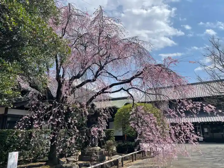 吉祥寺の{uncategorized: "未分類", other: "その他", undefined: "問題あり", building: "その他建物", grave: "お墓", sacred_gate: "鳥居", guardian: "狛犬", statue: "像", buddha: "仏像", history: "歴史", nature: "自然", garden: "庭園", animal: "動物", pagoda: "塔", temizu: "手水舎", mountain_gate: "山門・神門", sanctuary: "本殿・本堂", subordinate: "末社・摂社", art: "芸術", scenery: "景色", jizo: "地蔵", ema: "絵馬", goshuin: "御朱印", omikuji: "おみくじ", items: "授与品その他", amulet: "お守り", goshuincho: "御朱印帳", eats: "食事", festival: "お祭り", votive_dance: "神楽", shichigosan: "七五三参", wedding: "結婚式", experience: "体験その他", initially: "初詣", around: "周辺", anti_infection: "感染症対策"}