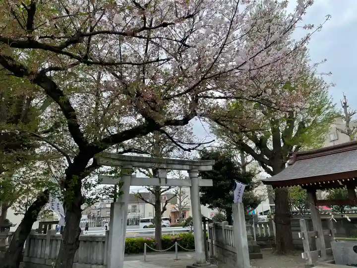安方神社の鳥居