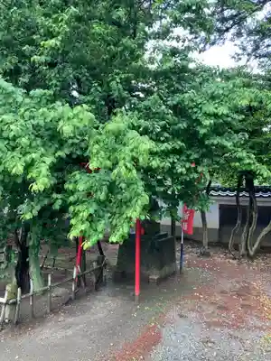 弘道館鹿島神社(茨城県)