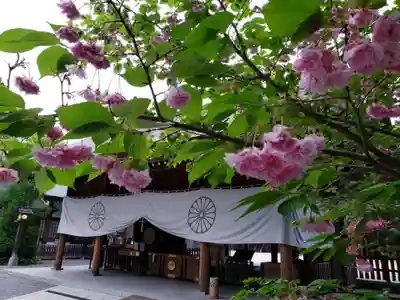 阿佐ヶ谷神明宮(東京都)