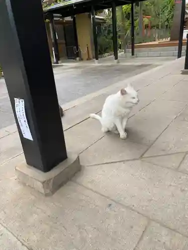 愛宕神社(東京都)