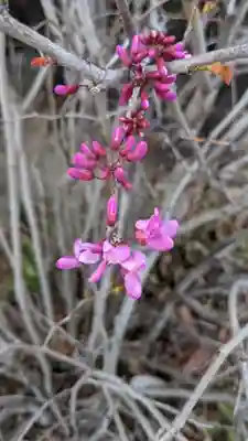 長福寺(愛知県)