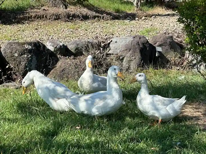 嶽之下宮(静岡県)