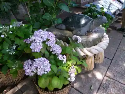 酒列磯前神社(茨城県)