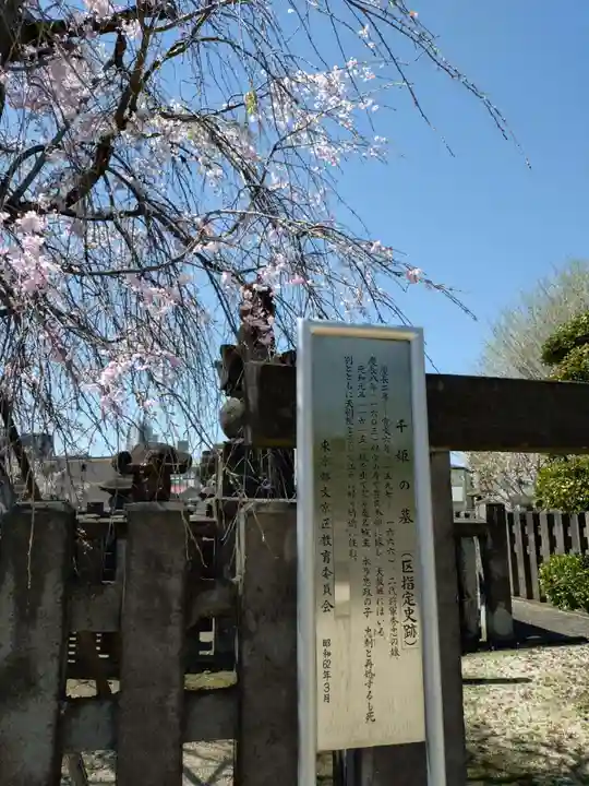 伝通院(東京都)