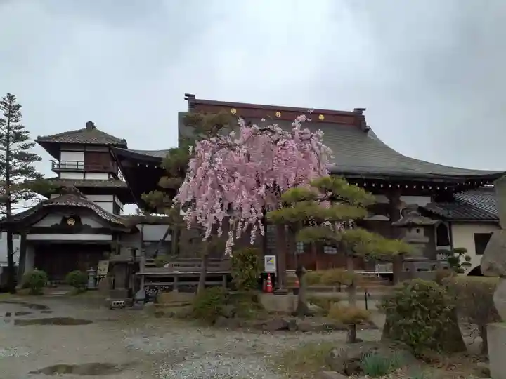 阿弥陀寺の本殿・本堂