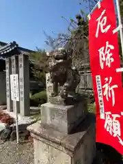 神館飯野高市本多神社の狛犬