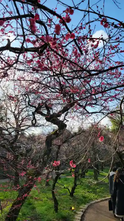 北野天満宮の{uncategorized: "未分類", other: "その他", undefined: "問題あり", building: "その他建物", grave: "お墓", sacred_gate: "鳥居", guardian: "狛犬", statue: "像", buddha: "仏像", history: "歴史", nature: "自然", garden: "庭園", animal: "動物", pagoda: "塔", temizu: "手水舎", mountain_gate: "山門・神門", sanctuary: "本殿・本堂", subordinate: "末社・摂社", art: "芸術", scenery: "景色", jizo: "地蔵", ema: "絵馬", goshuin: "御朱印", omikuji: "おみくじ", items: "授与品その他", amulet: "お守り", goshuincho: "御朱印帳", eats: "食事", festival: "お祭り", votive_dance: "神楽", shichigosan: "七五三参", wedding: "結婚式", experience: "体験その他", initially: "初詣", around: "周辺", anti_infection: "感染症対策"}
