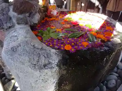 出雲大社相模分祠の手水舎