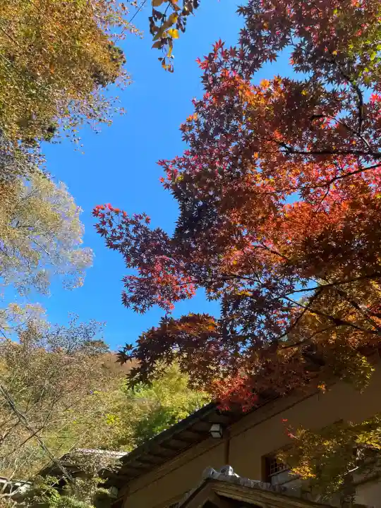 貴船神社(京都府)