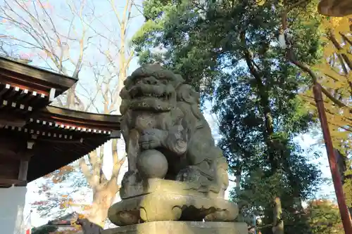 熊野福藏神社の狛犬