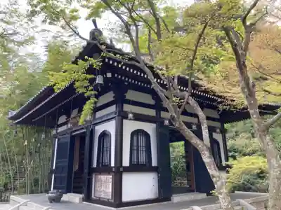 長谷寺(神奈川県)