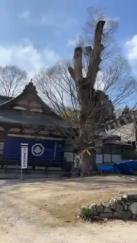 賀羅加波神社(広島県)