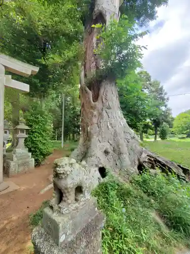 藤岡神社(栃木県)