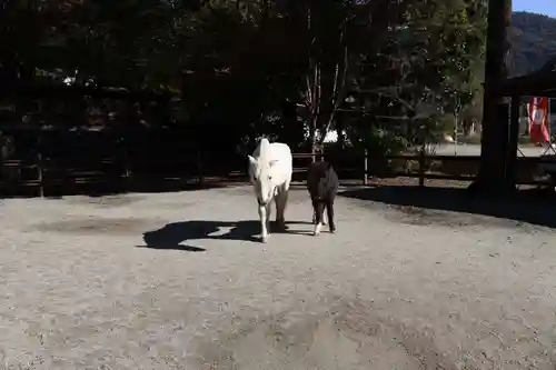 丹生川上神社（下社）(奈良県)