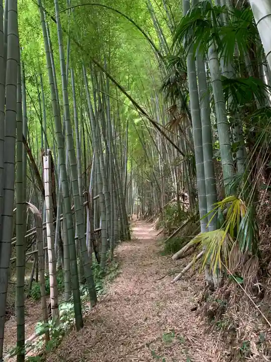 浅間神社(千葉県)