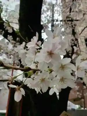 本覚寺(東京都)