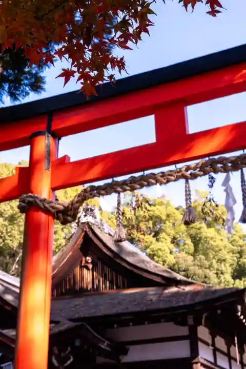 賀茂別雷神社(上賀茂神社)(京都府)