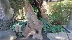 長谷寺の自然