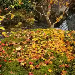 古峯神社の自然