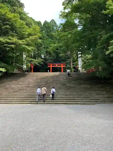 霧島神宮の鳥居