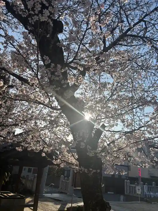 大年神社(兵庫県)