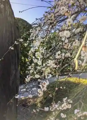 東長谷寺　薬王院(東京都)