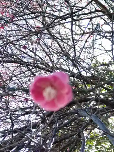 圓通寺（円通寺）の庭園