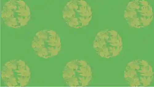 守りの神　藤基神社(新潟県)