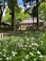 飯笠山神社(長野県)