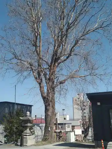 龍宮神社(北海道)