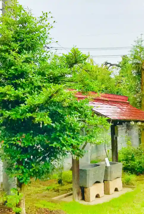 青麻神社の手水舎