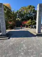 中津神社(大分県)